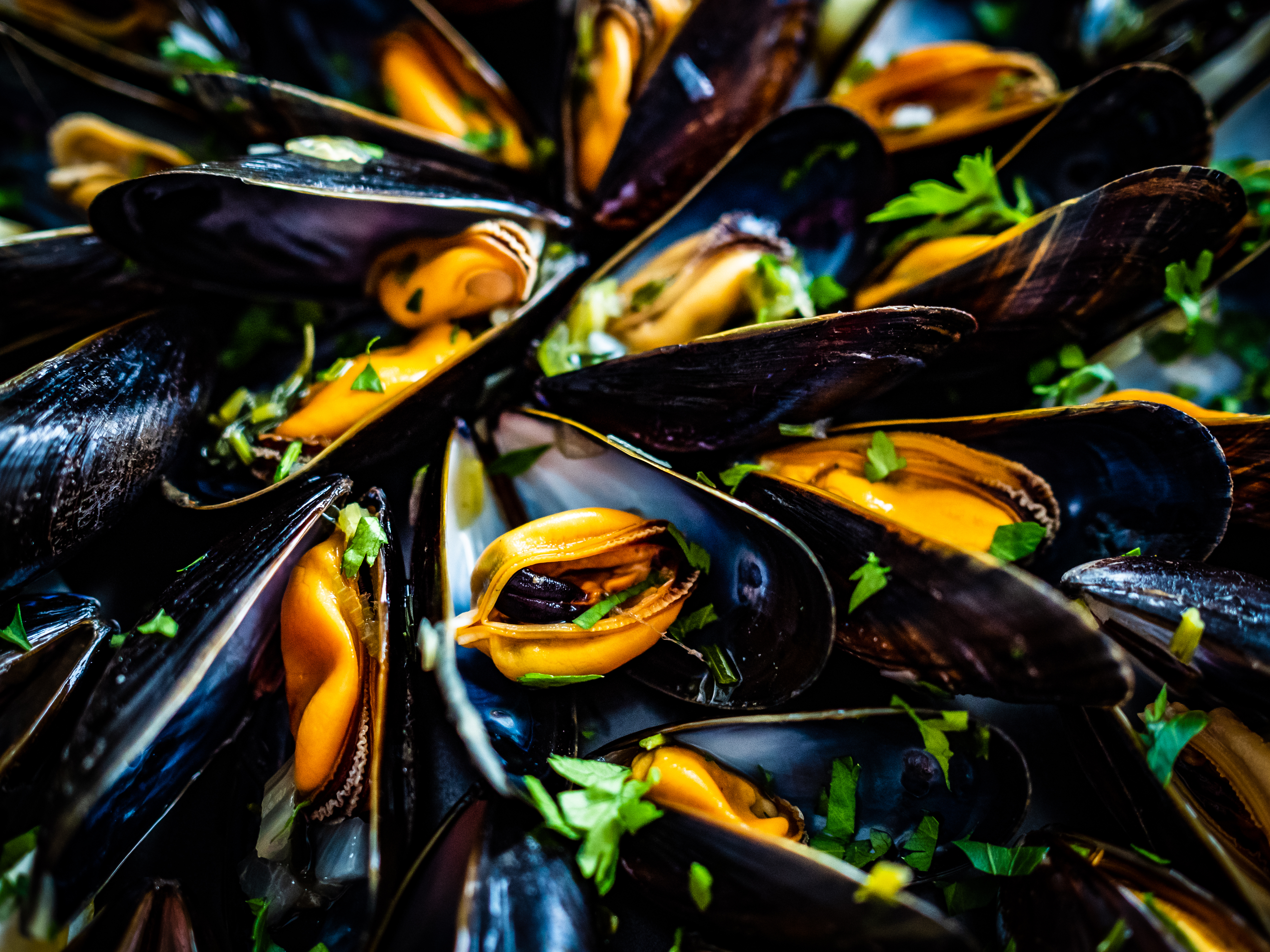 Black Mussels