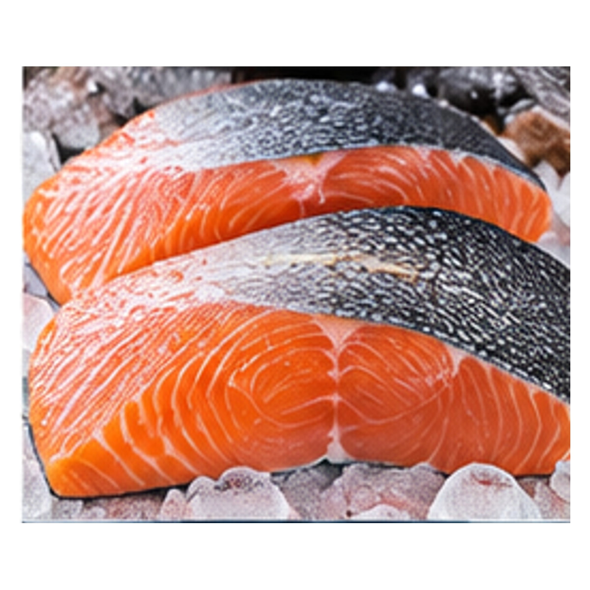 Norwegian Salmon 5-Pack