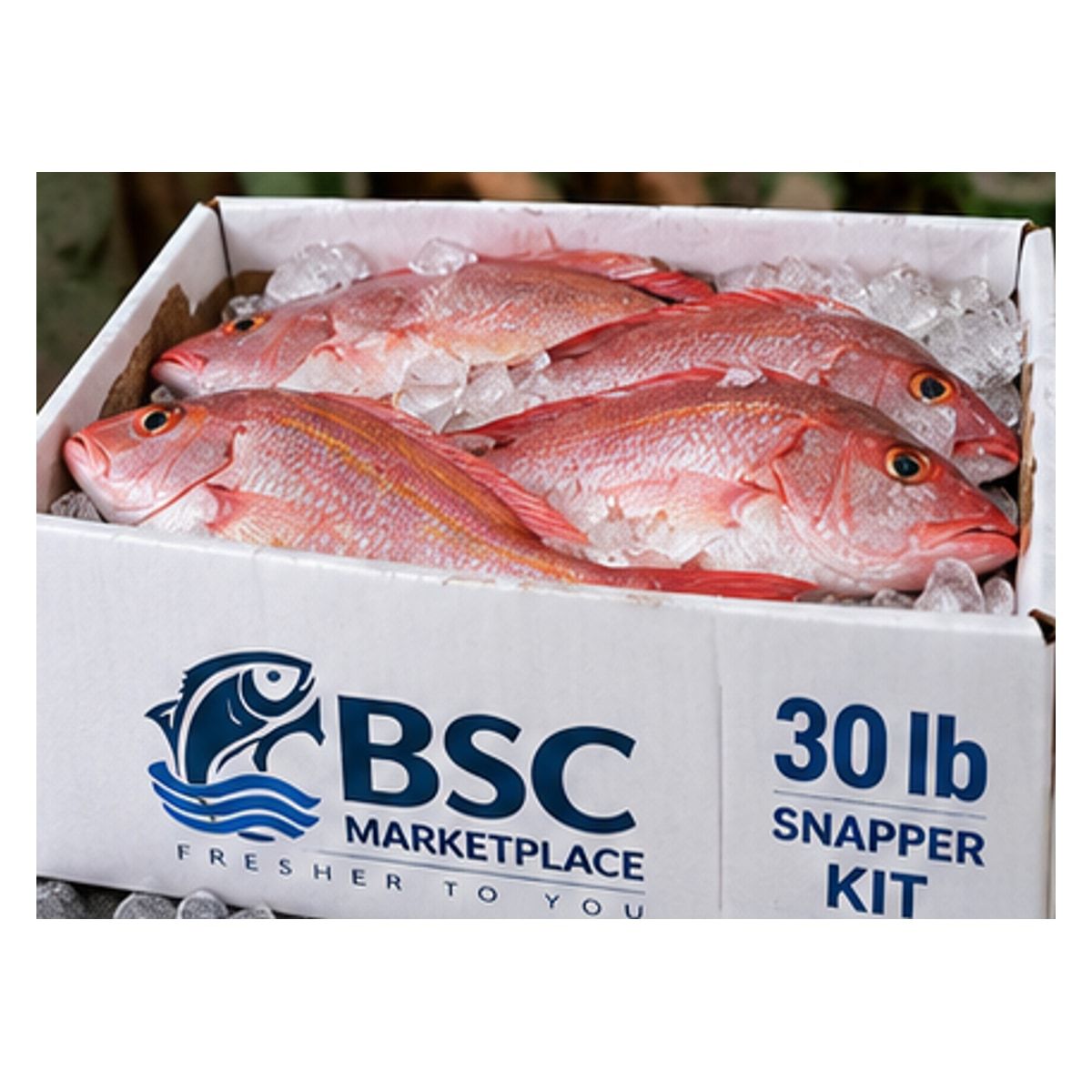 Snapper Kit